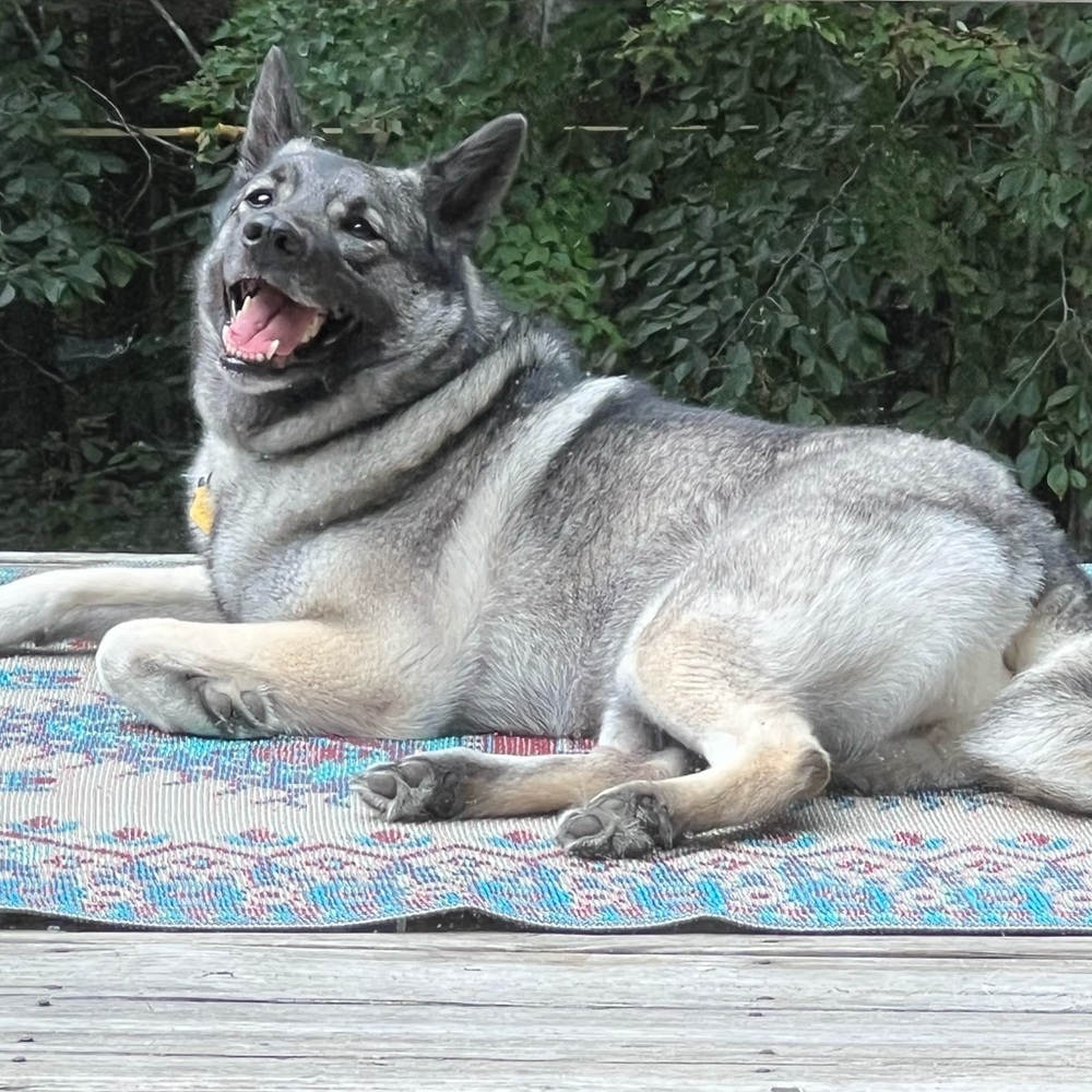 Meet your Posher, Kara